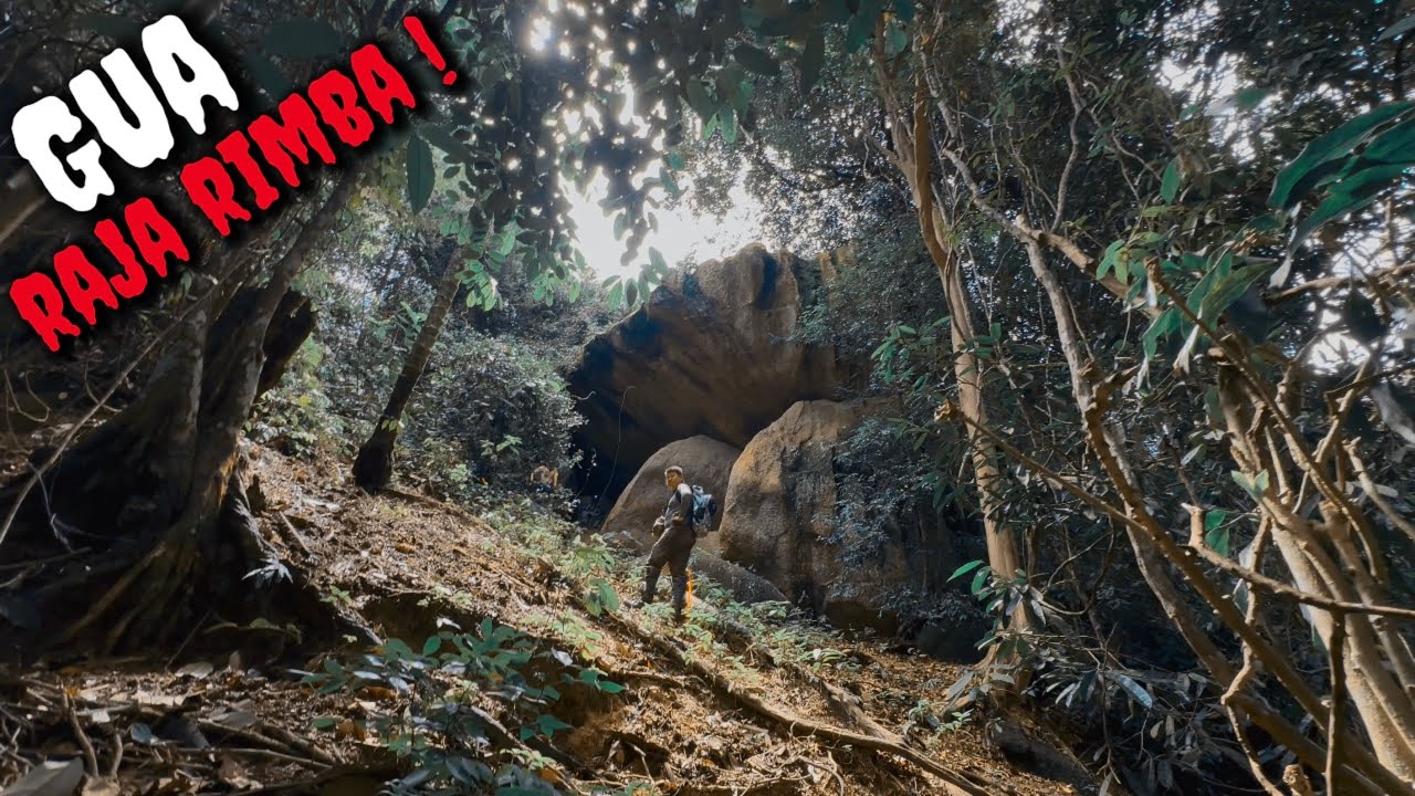 PENEMUAN ISTANA RAJA RIMBA DI GUA PURBA HUTAN MAWAI | MISTERI ALAM TERSINGKAP!