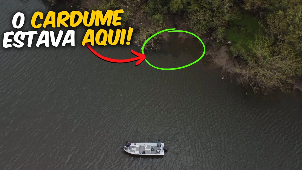 ESSE LUGAR EST&Aacute; SENSACIONAL PARA PESCAR ROBALOS! Pescaria nas Galhadas com Plug