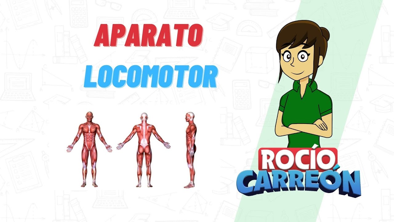 APARATO LOCOMOTOR