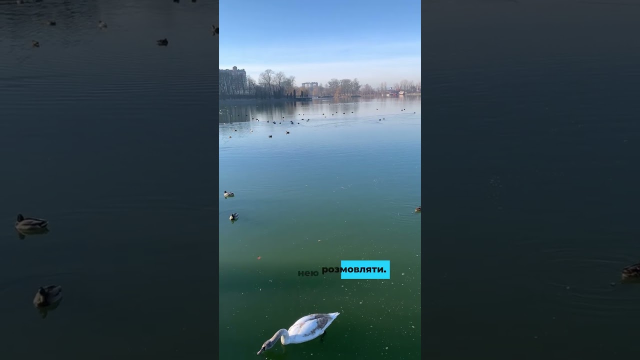 Звикла до пів порції?