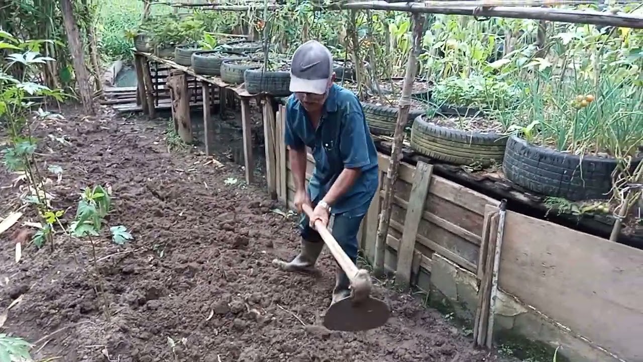 Começando a preparação para plantar 🪴