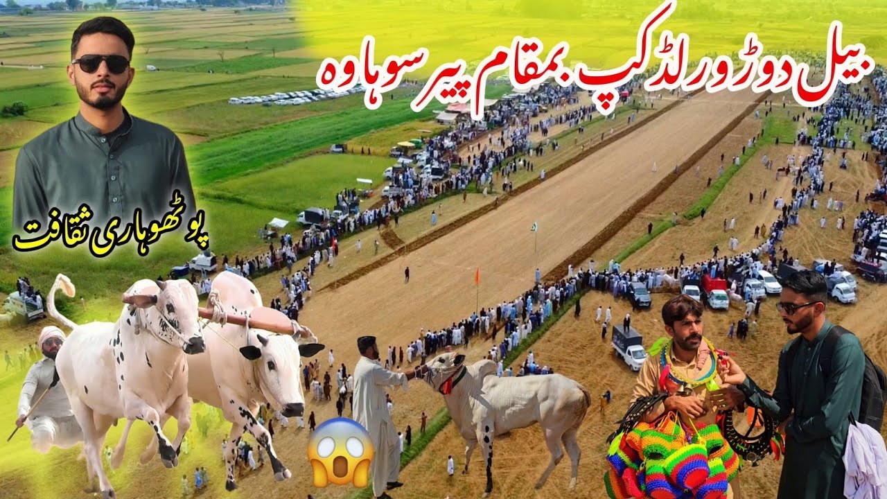 Traditional Bull Race At Peer Sohawa Rawat😲 | Bail Dor In Pothohar  | Hamza Jillani Vlog