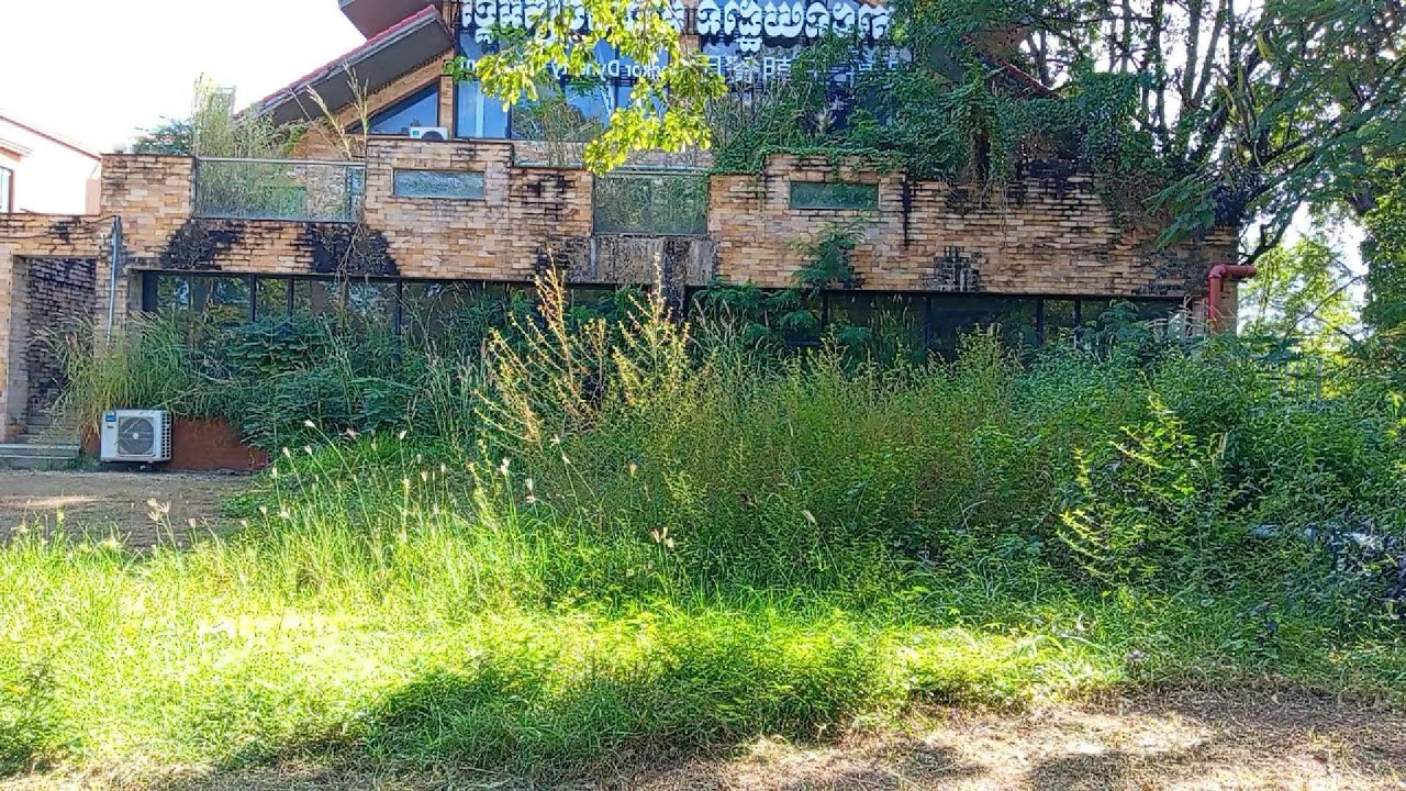 2 Days, 6 Hours, One Forgotten Mansion – Watch the Full Revival After covid 19