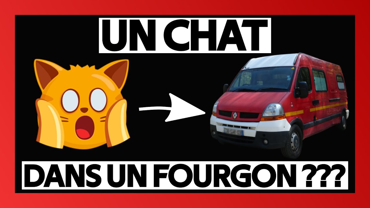 AVOIR UN CHAT EN VOYAGE EN FOURGON AMÉNAGÉ, RETOUR D'EXPÉRIENCE ! | Fourgon Voyageur