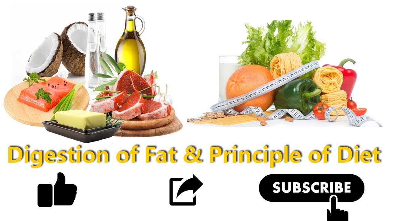 Digestion of Fat & Principle of Diet । फ़ैट का पाचन और भोजन के सिध्धांत ~ Madhav Kirti Das