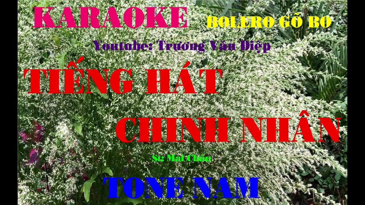 Karaoke Tiếng Hát Chinh Nhân Tone Nam Go Bo | Trương Văn Điệp
