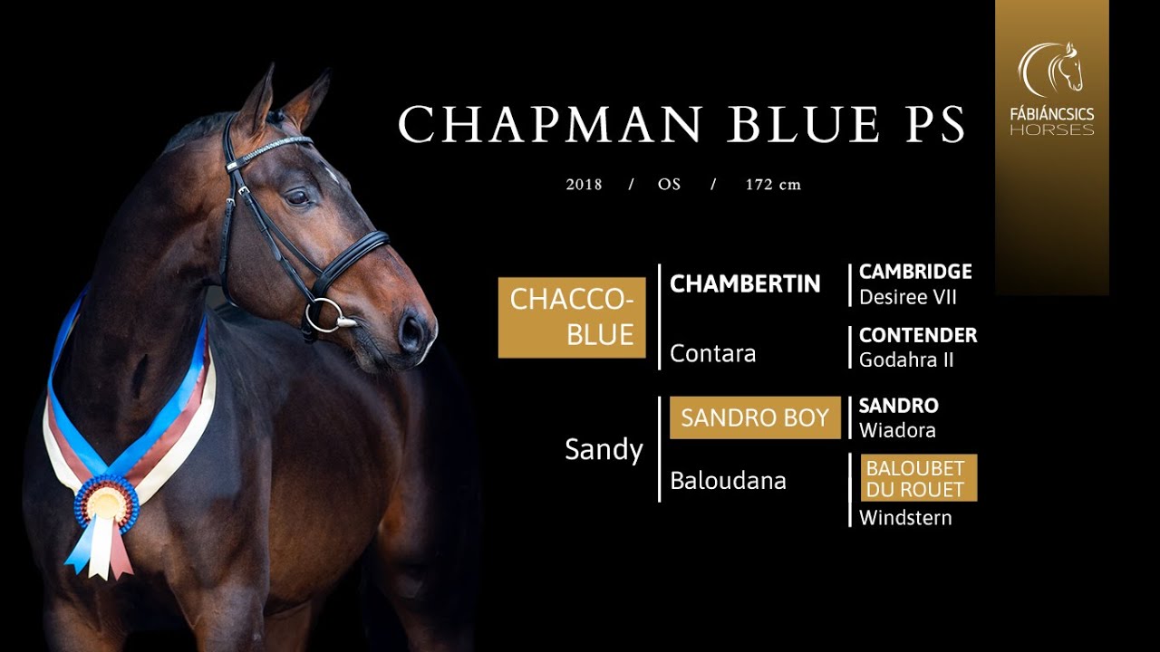 Chapman Blue PS