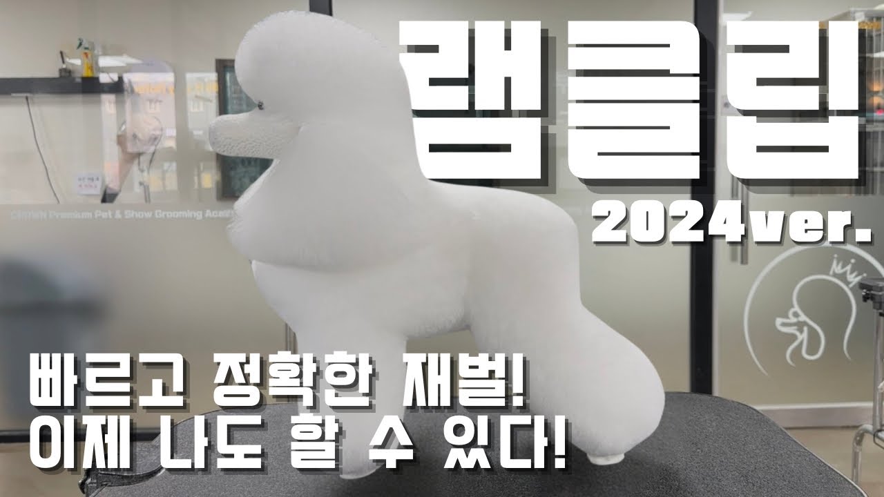 한국애견협회 3급 램클립 재벌 2024ver.