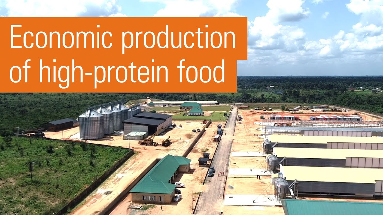 New egg production farm in Nigeria