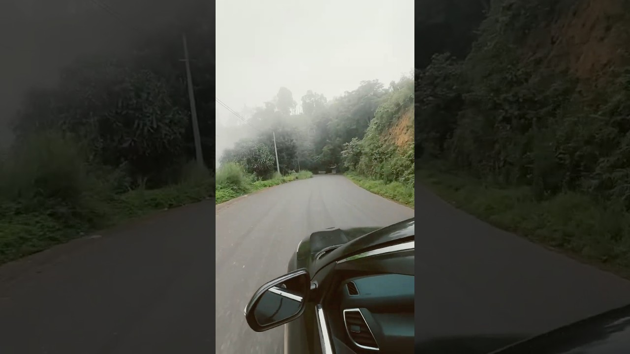 #weather#nature#car#fog
