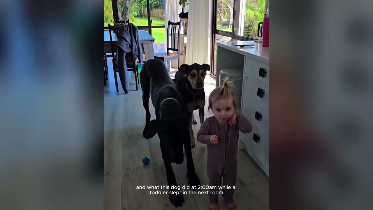 Nobody Could Handle This 150lb Great Dane&mdash;Then a Little Girl Changed Everything