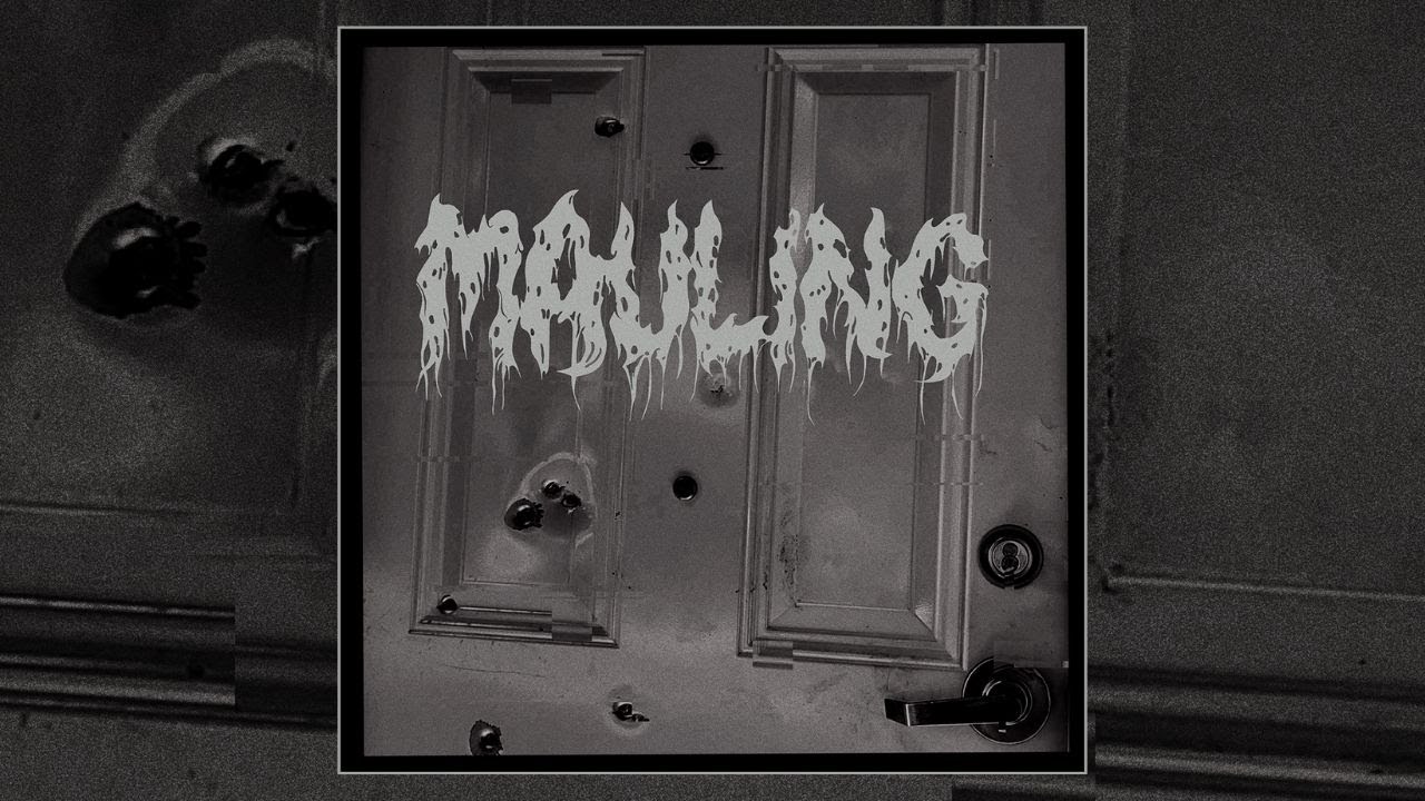 MAULING - DEMO [2024 Hardcore / Powerviolence]