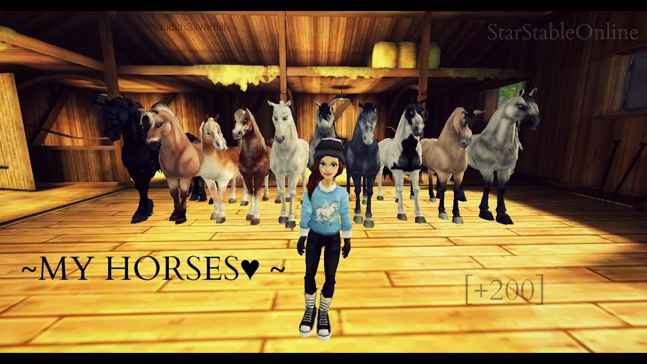 SSO - My Horses 2015!★   [+200subs♥]