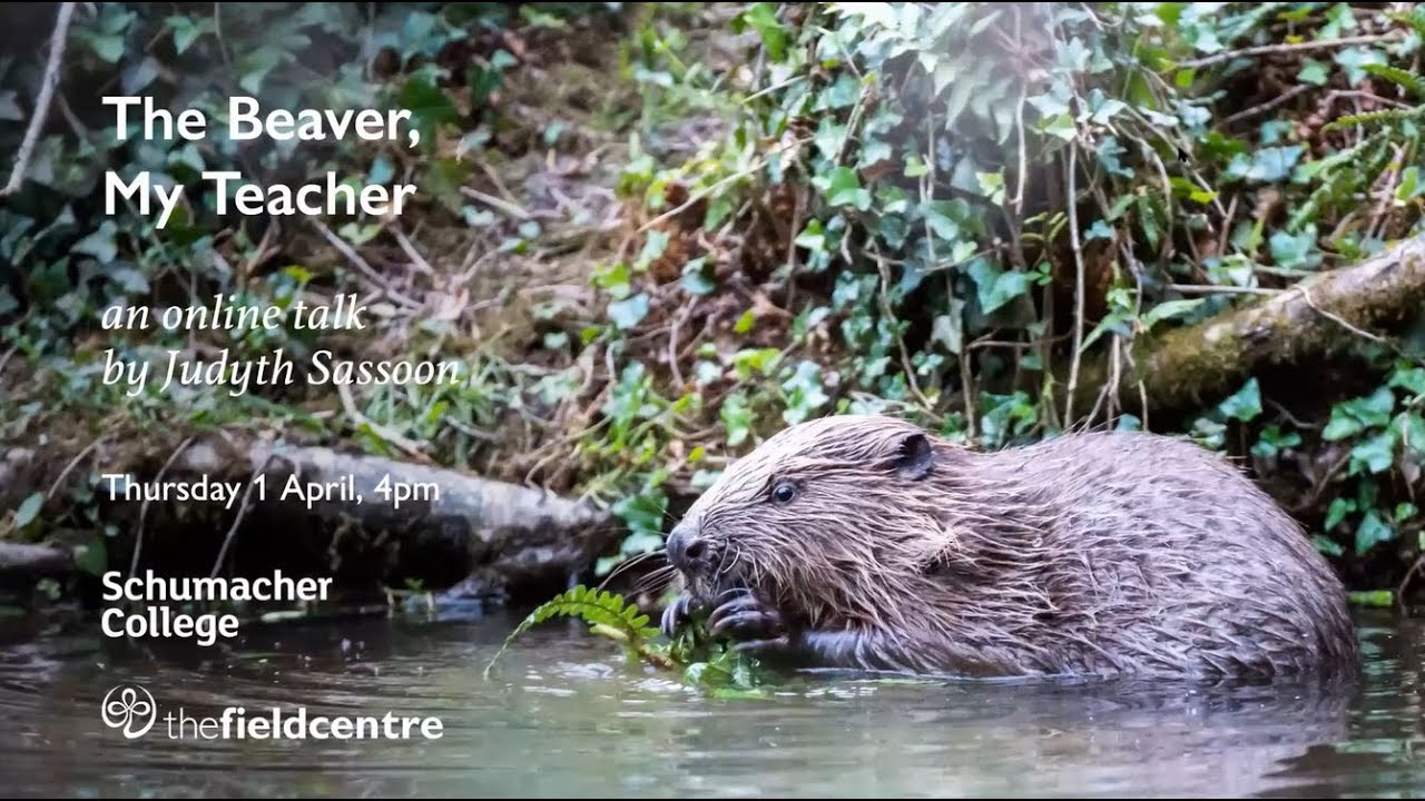 The Beaver, My Teacher: A study in Holistic Zoology with Judyth Sassoon (Holistic Science lecture)