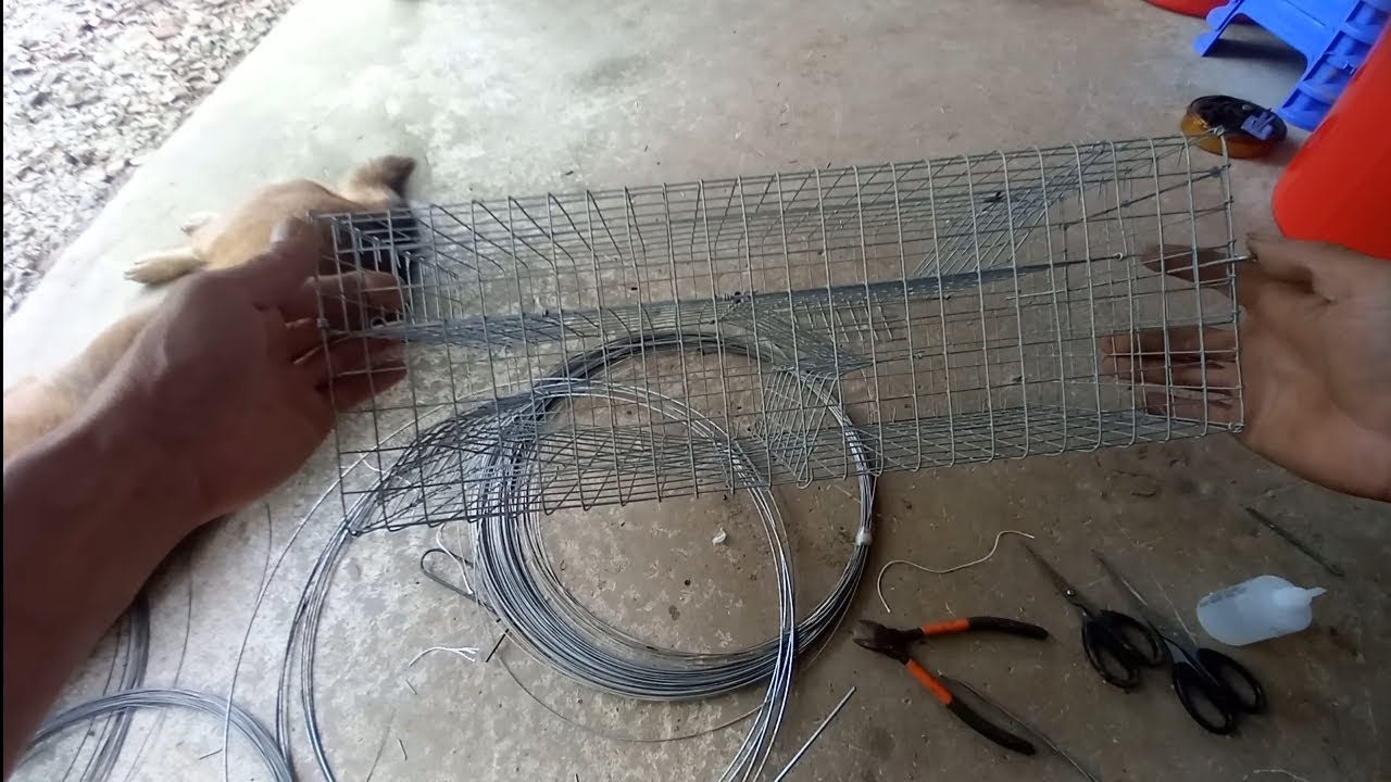 Cách làm bẫy chuột tự động đơn giản hiệu quả từ lưới chì Minh Ngọc 0786 952072