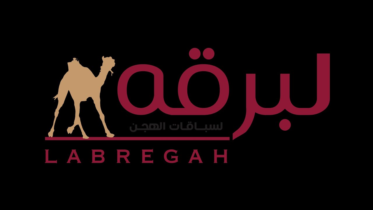 البث المباشر | منافسات الحقايق للقبائل (مهرجان جائزة زايد الكبرى 2025) ميدان الوثبة -مساء 25-11-2025
