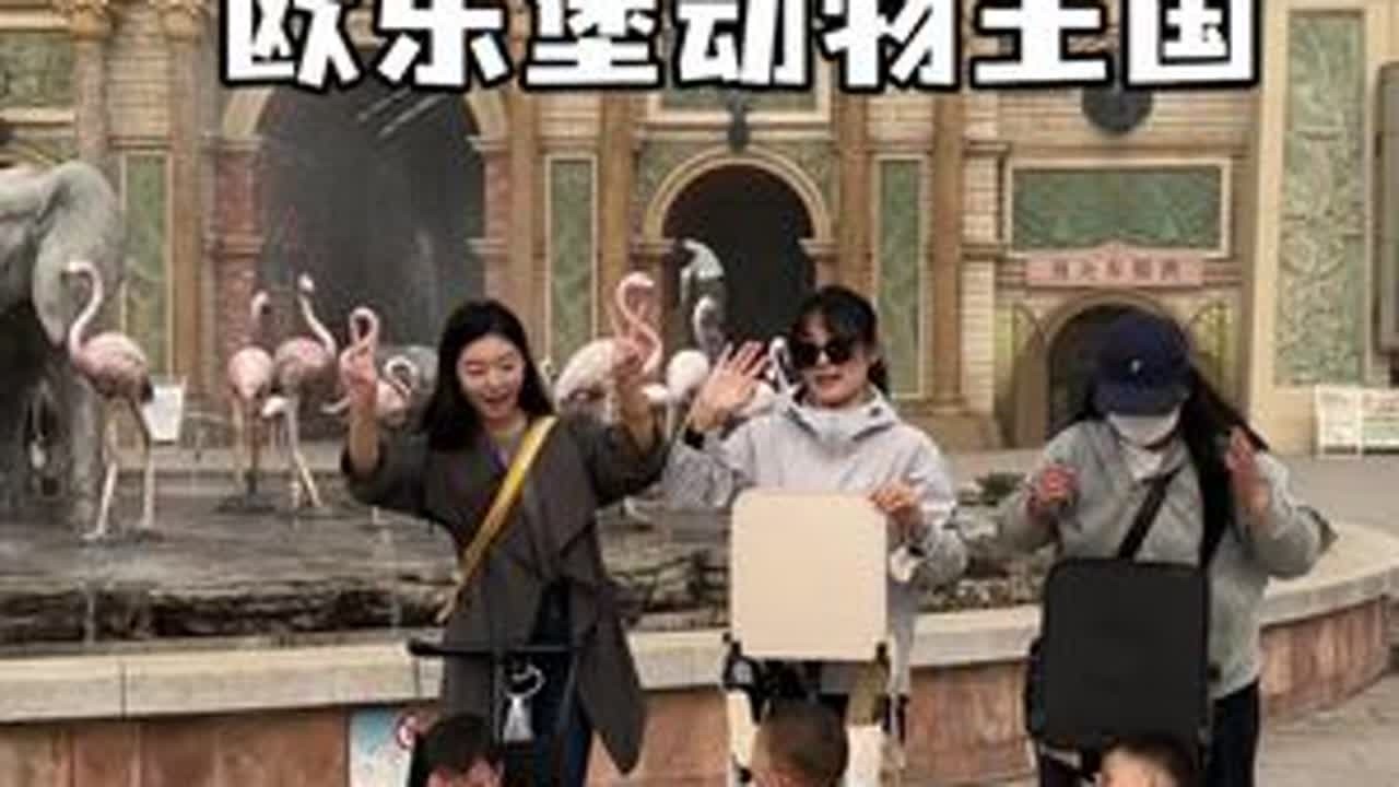 欧乐堡动物王国宝妈攻略！三位妈妈带娃实测 一天玩转欧乐堡的秘密#vlog十亿流量扶持计划  #欧乐堡动物王国 #纪录美好生活 #带娃旅行@抖音小助手 @DOU+上热门