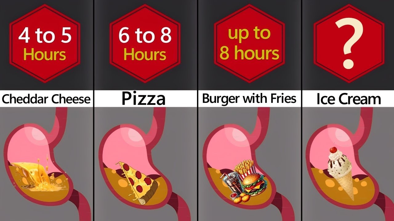 How Long Does It Take to Digest These Foods?