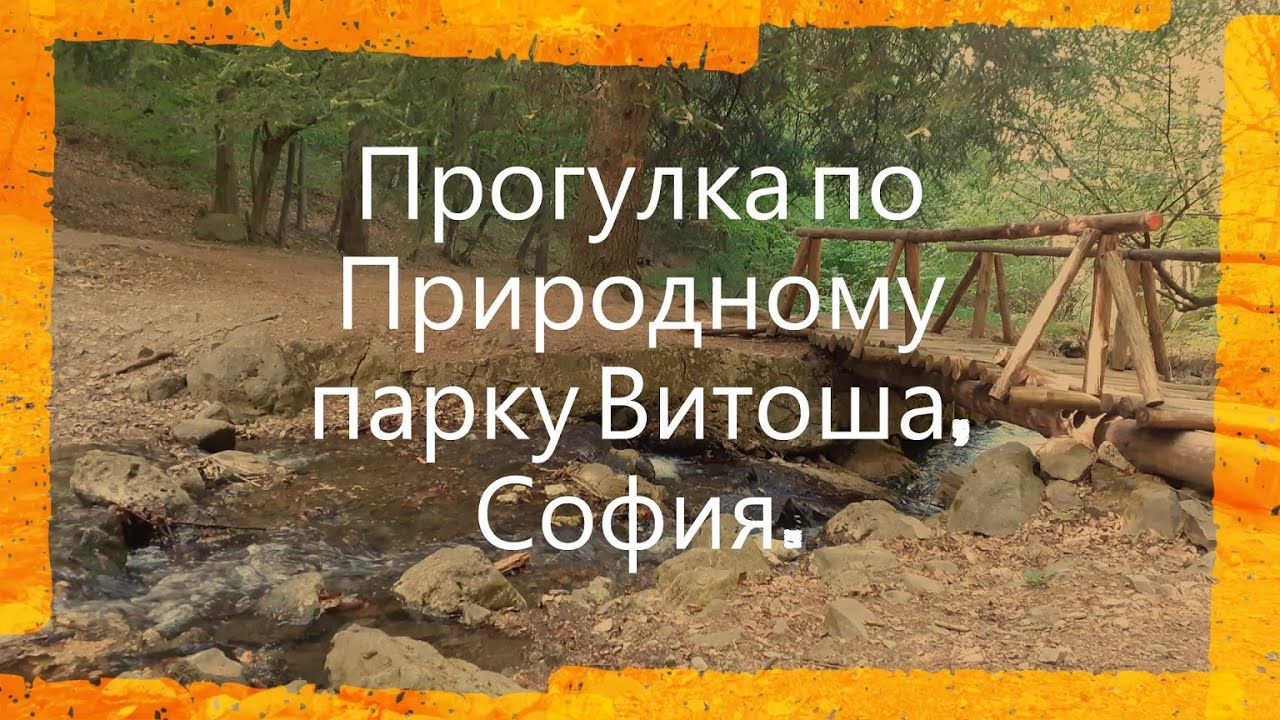Прогулка по природному парку Витоша с детьми