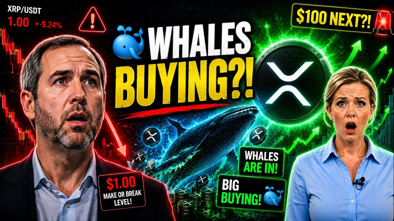 🚨 XRP WHALE ALERT! BIG MONEY IS BUYING&hellip; $100 XRP NEXT?!