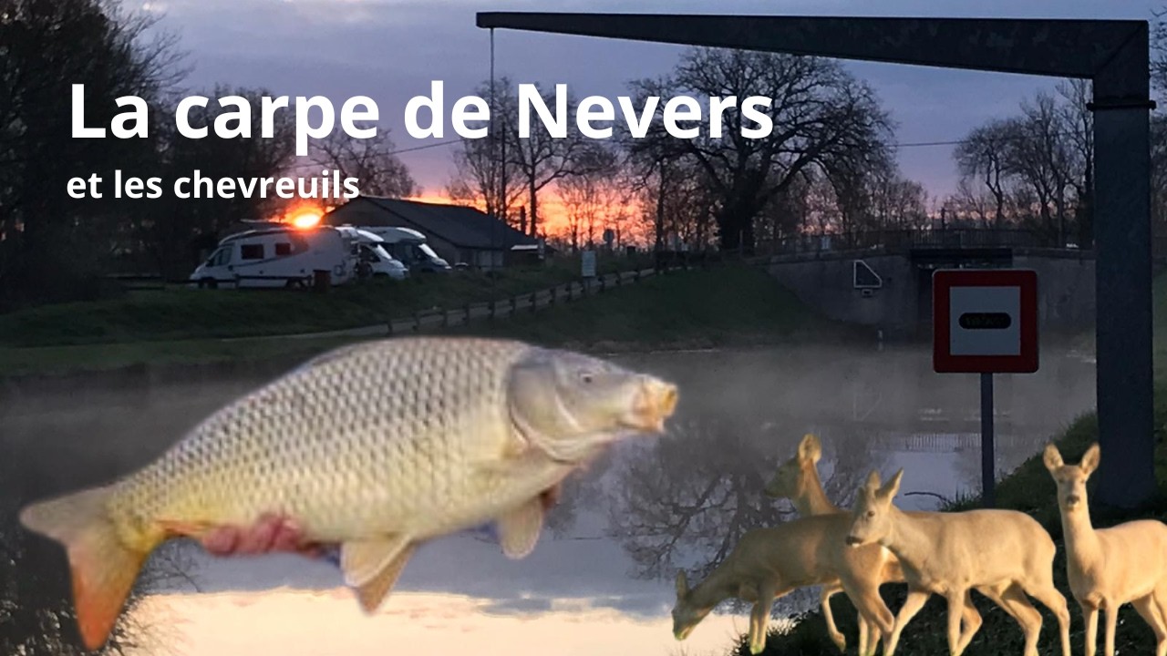 La carpe de Nevers et les chevreuils