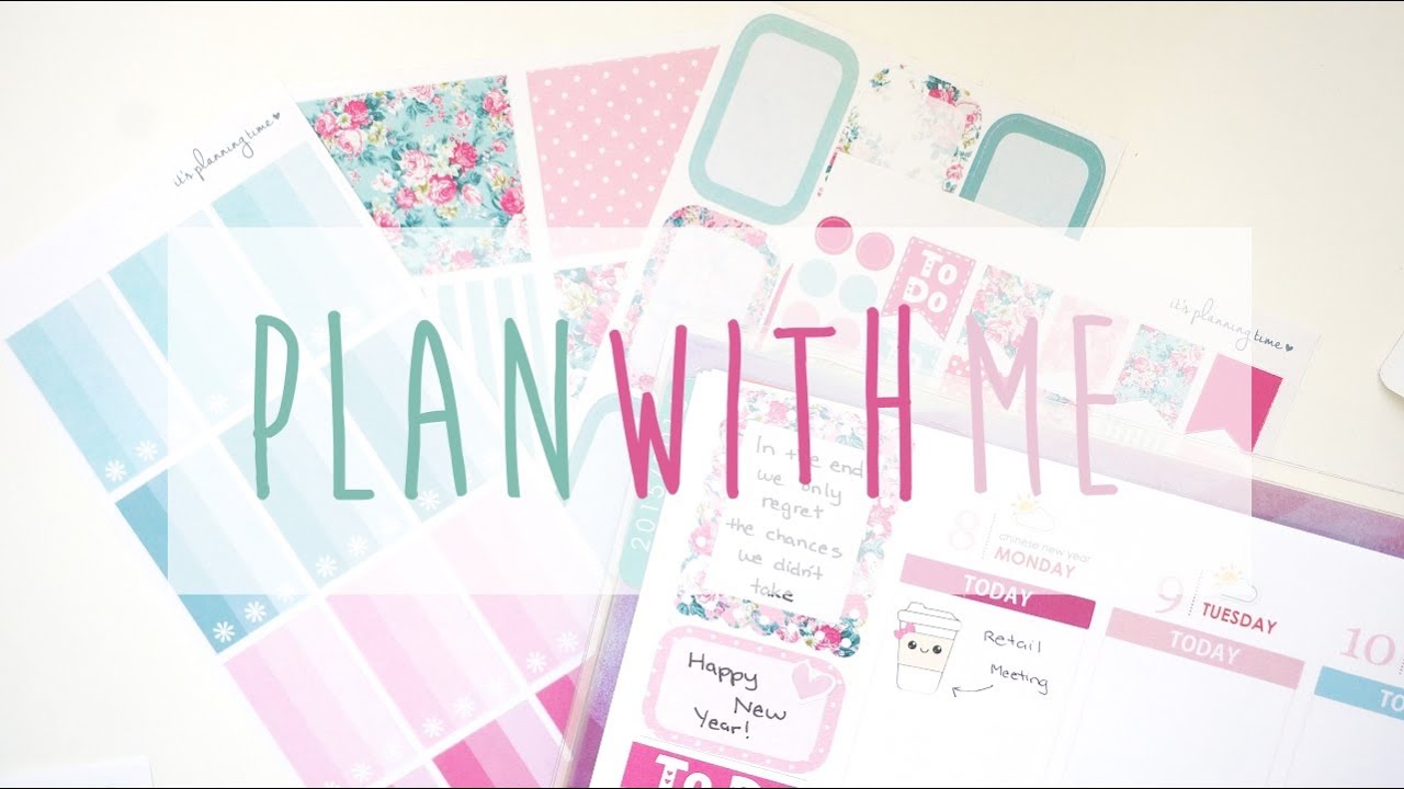 Plan With Me Erin Condren Life Planner ~ February 2016