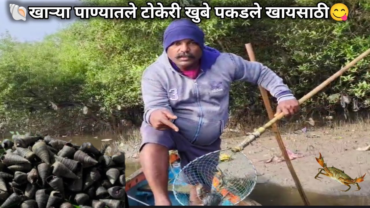 🐚खाऱ्या पाण्यातले टोकेरी खुबे पकडले खायसाठी😋#crabgrass #fishing #rive rcrab #crab #खुबे #fish #food 