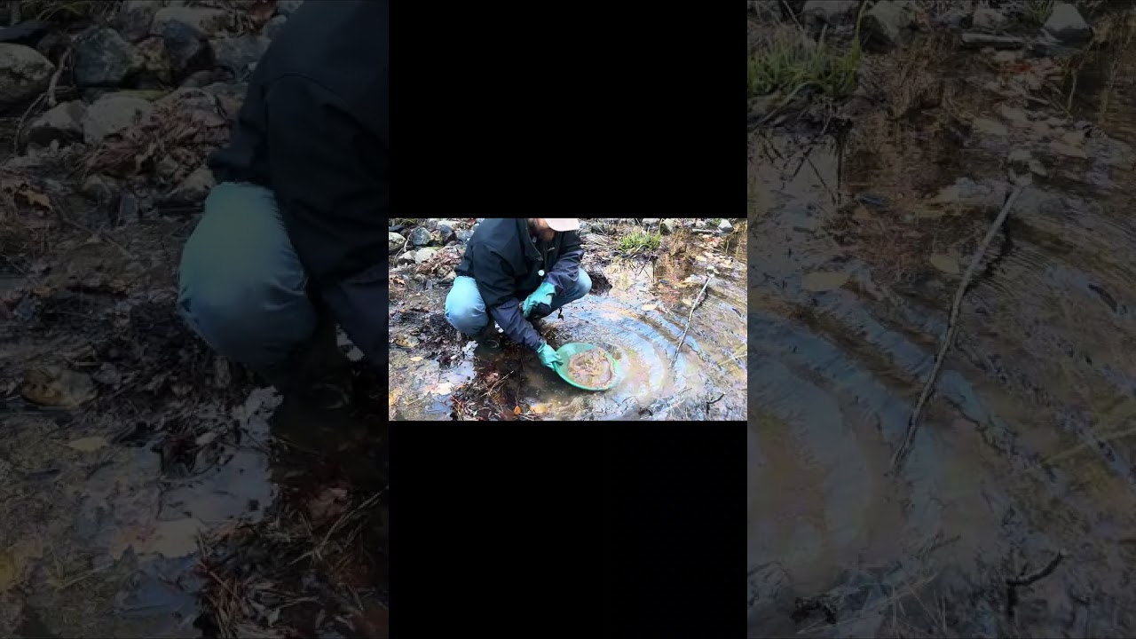 3 Test Pans in a New Creek… Then I Hit Hardpack I Couldn’t Shovel