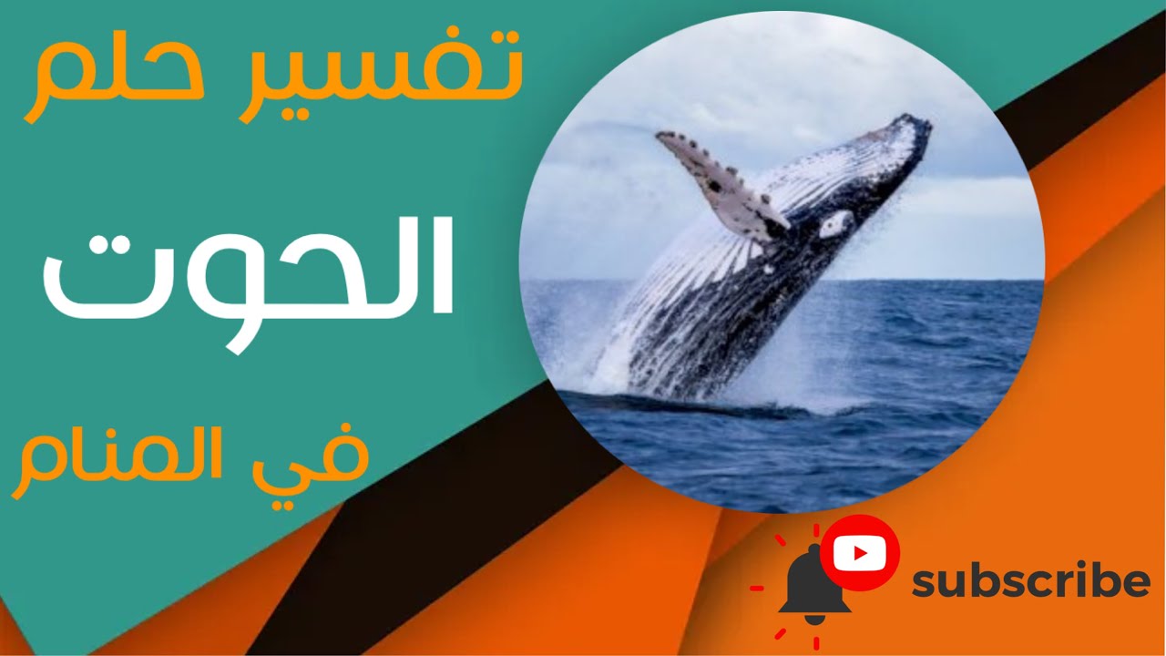 تفسير حلم الحوت - ما معنى رؤية الحوت في المنام؟