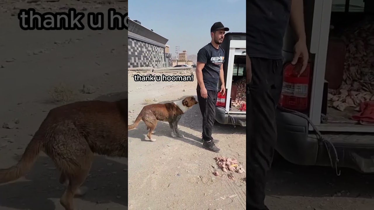 Dog started crying after man brought food