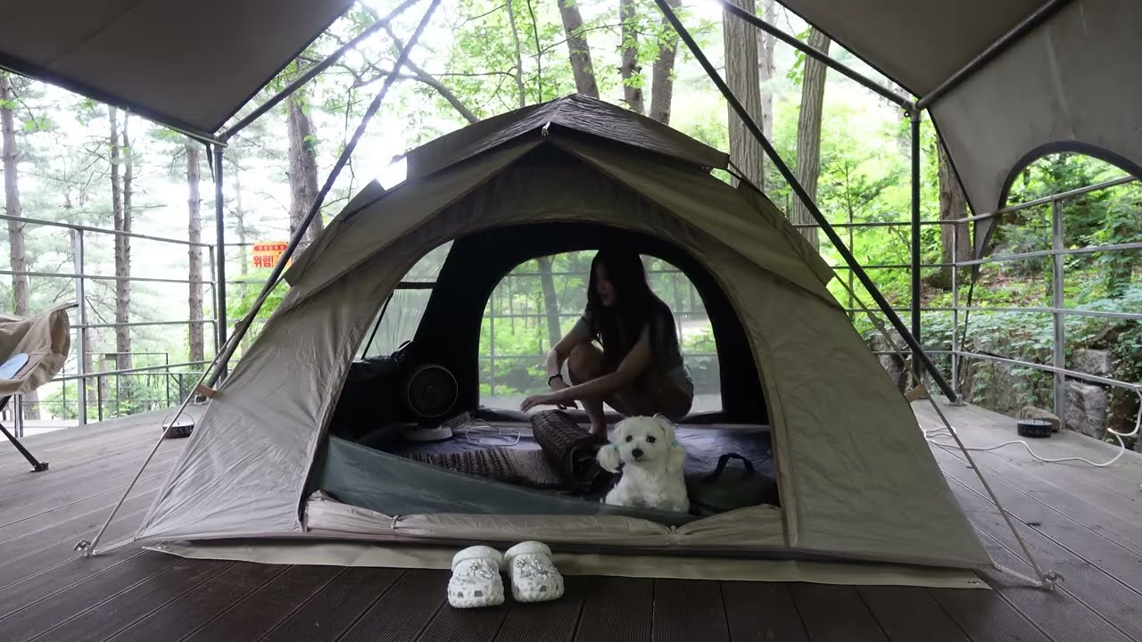 Deep Forest Camping by a Stream ⛺🌿 | Peaceful Days with My Dog