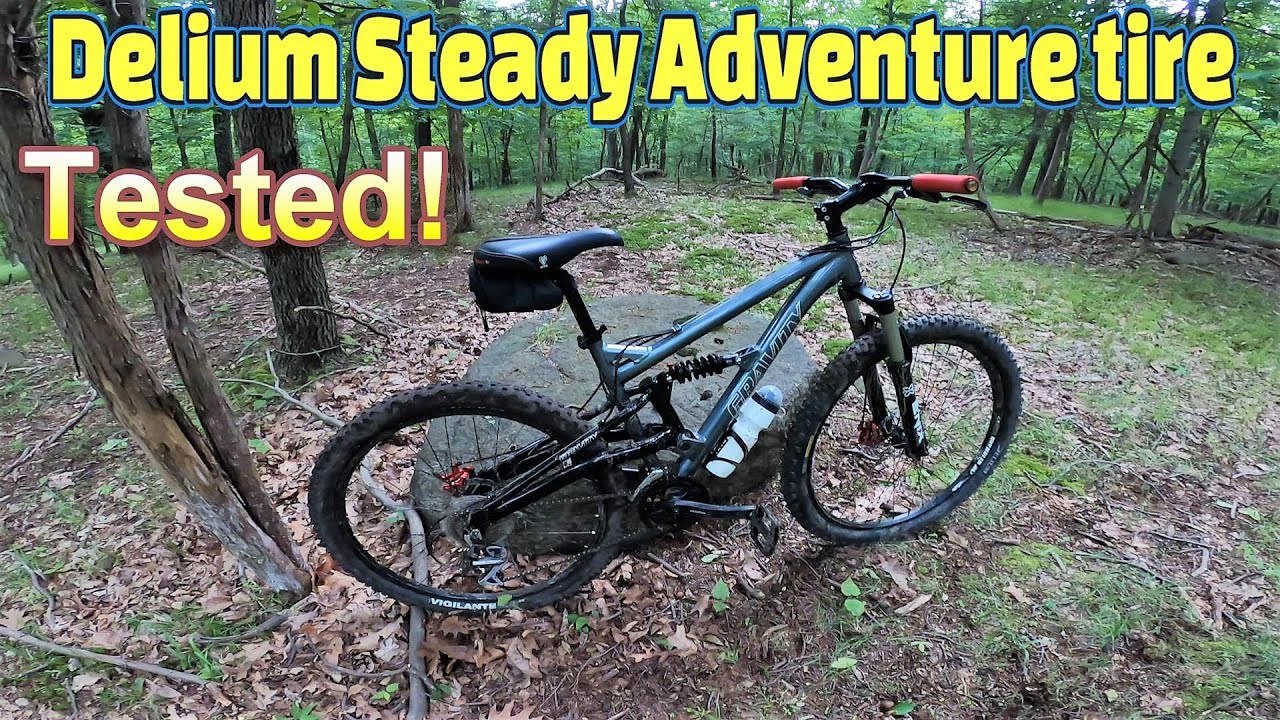 Delium Steady bike tire REVIEW Gravity FSX 1.0 MULLET BIKE BABY!