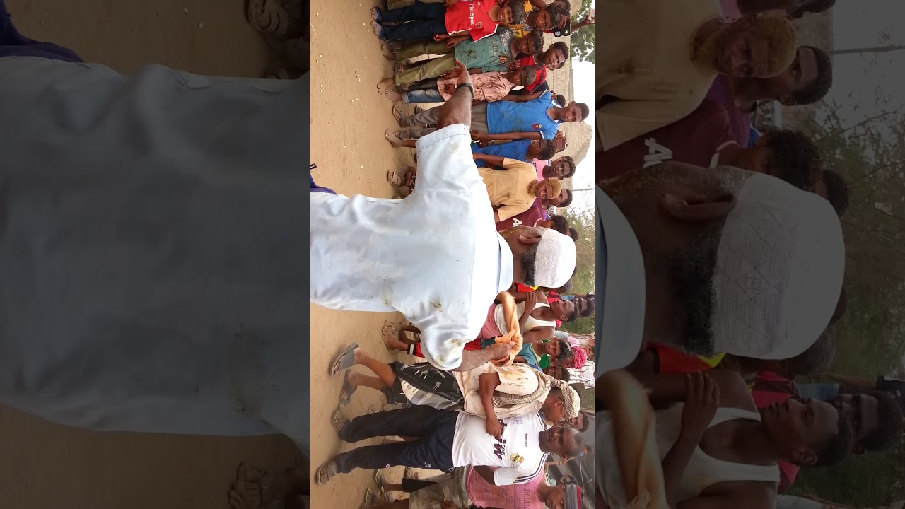 المعروفيه زواج الحسن والحسين علي جابر العياني