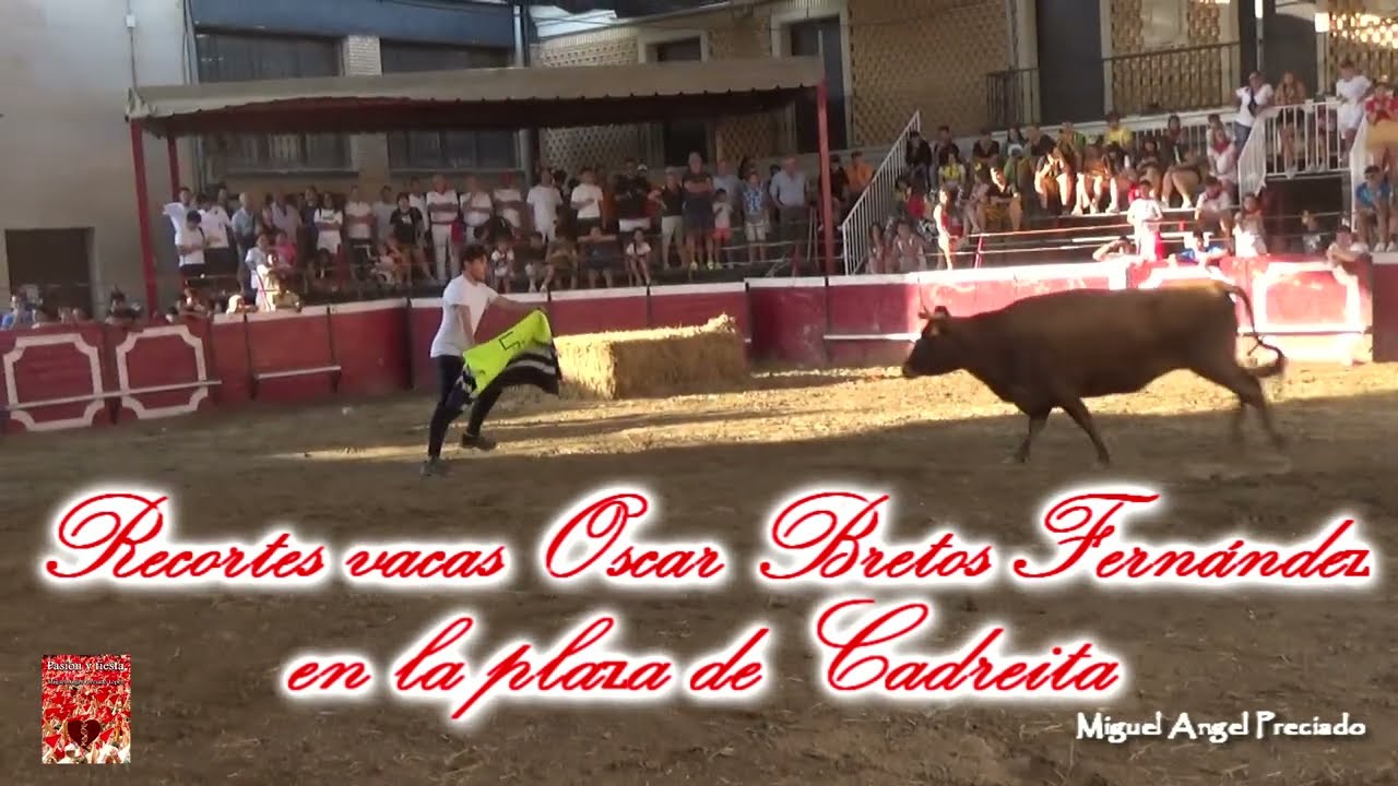 Recortes a vacas Oscar Bretos Fern&aacute;ndez en Cadreita. 20 julio 2023