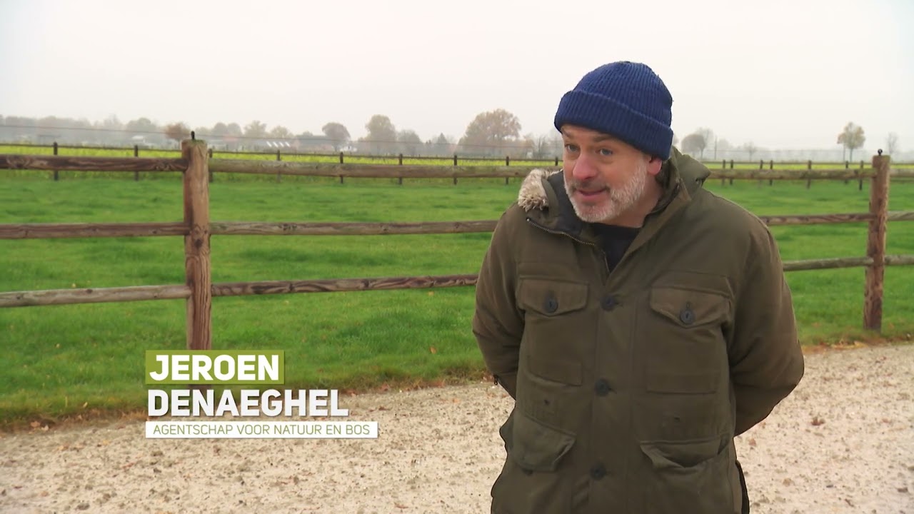 Reportage Wolf Fencing Team | Natuur en Bos