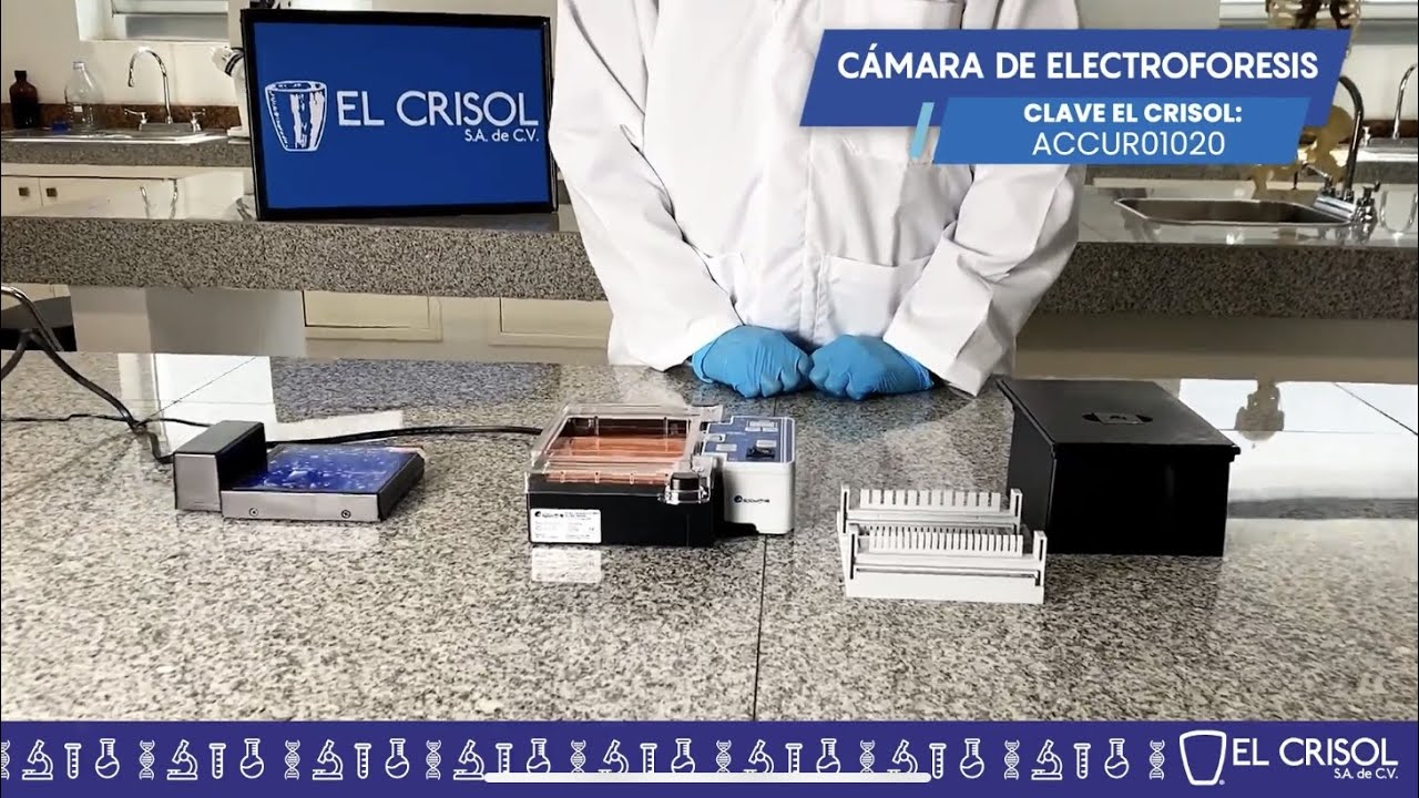 CÁMARA DE ELECTROFORESIS CON FUENTE DE PODER Y TRANSLUMINADOR. ACCURIS
