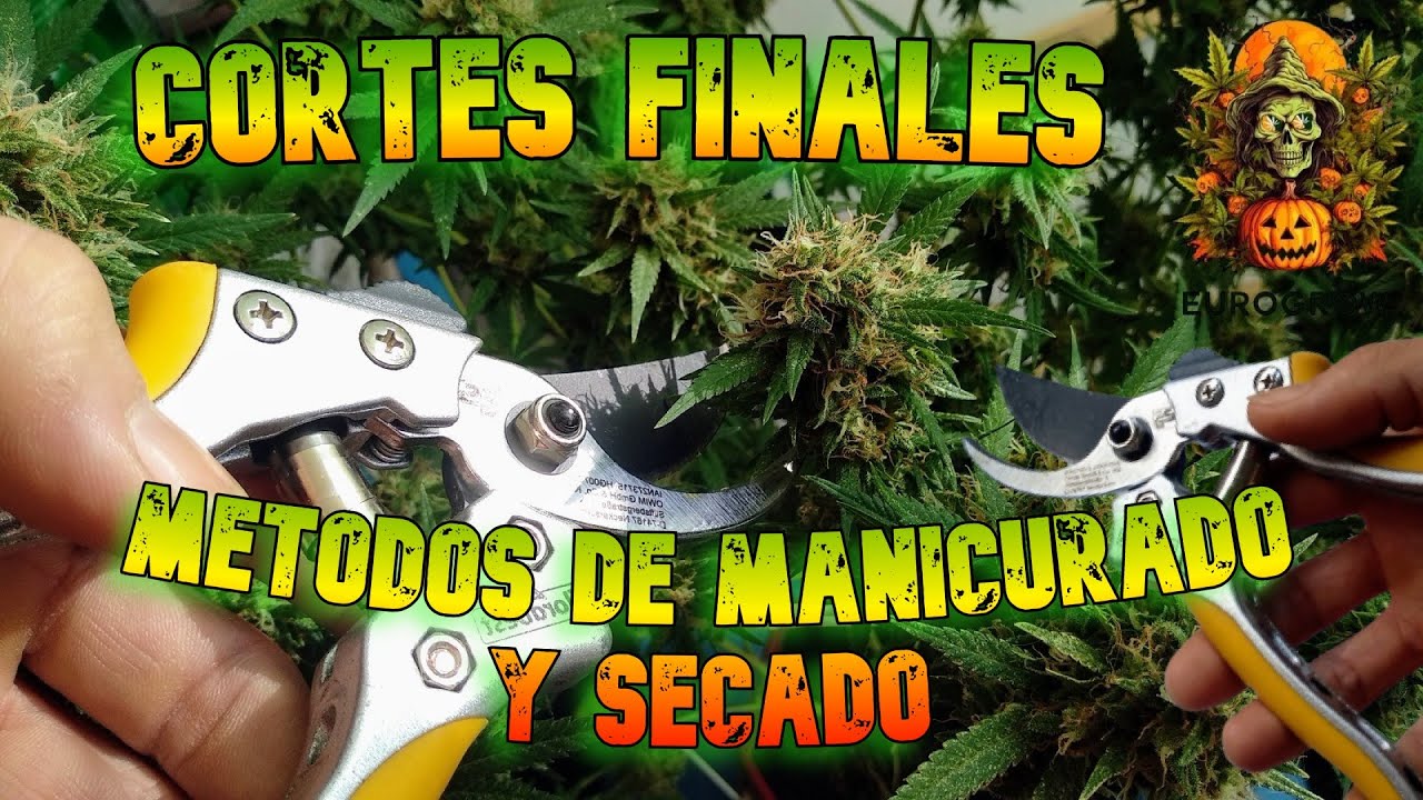 CORTES FINALES  y M&eacute;todos de MANICURADO/SECADO🌿