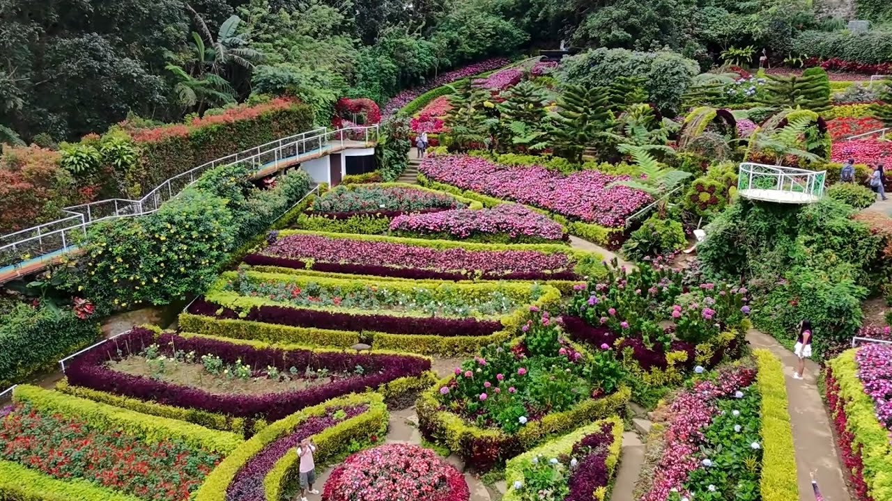 Welcome to Cebu Famous Flower Garden 🌺🌻🌹🌸 #flowers 