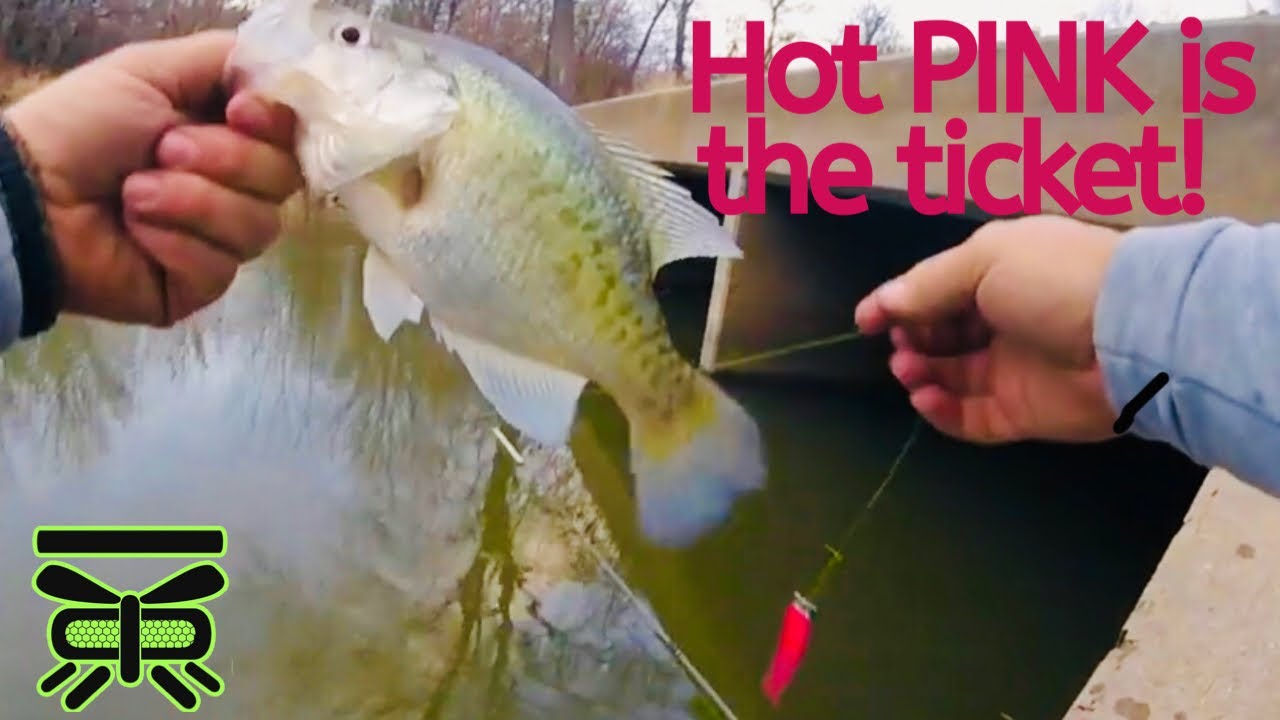 Late Fall Crappie, concrete structure!