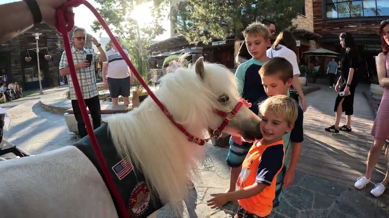 Lt. Rowdy visiting Westfield the Village at Topanga 61723