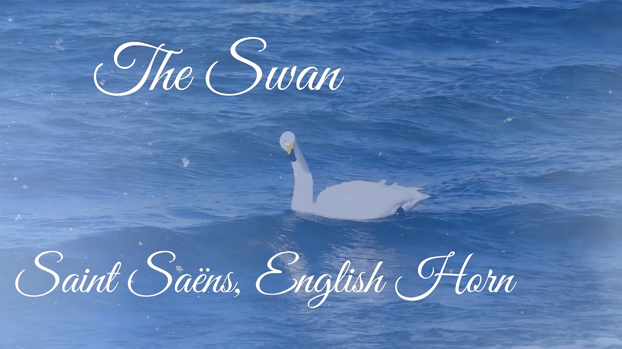The Swan (Le Cygne)　 Saint Saëns　English Horn 　白鳥をイングリッシュホルンで