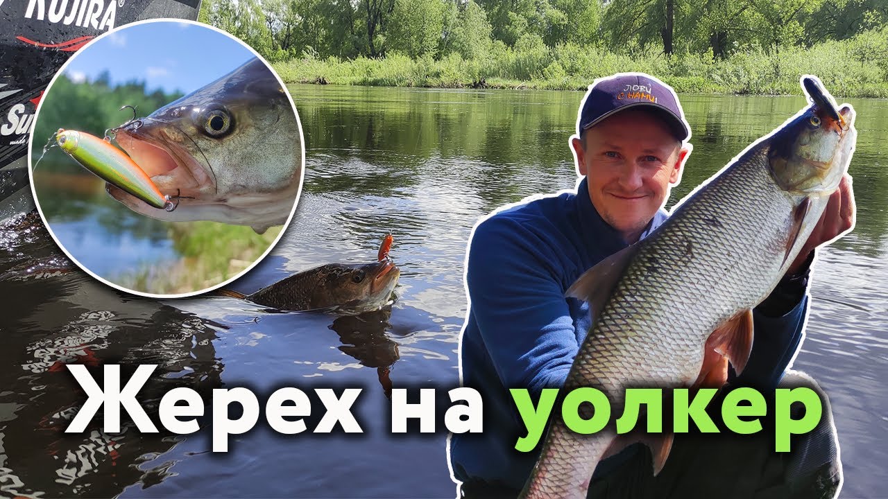 Ловля ЖЕРЕХА на ВОЛКЕР / УОКЕР / Walker