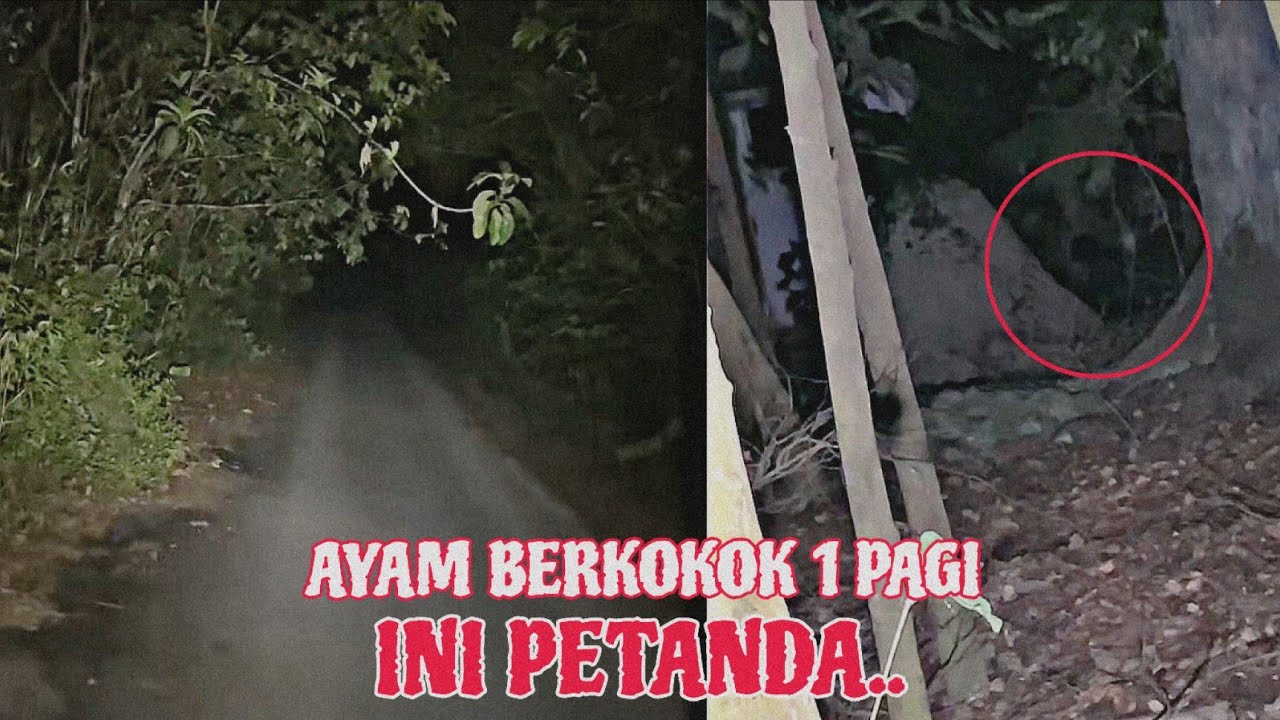 ASLI ATAU JELMAAN? TERJUMPA BINATANG NI KETIKA EXPLORE!