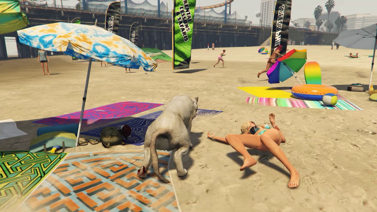 Gta Mountain Lion attacks the beach