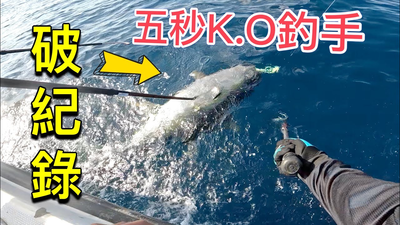 什麼大魚五秒絕殺釣手？出動五位壯丁三隻搭鉤！Popping monster yellowfin tuna !  #釣魚 #鮪魚 #旅行