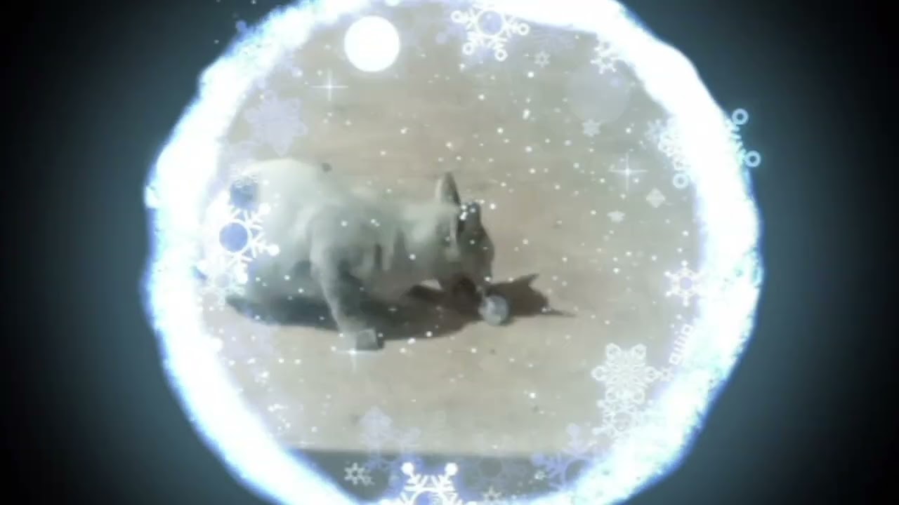 WOW! CAT EATING FROG.