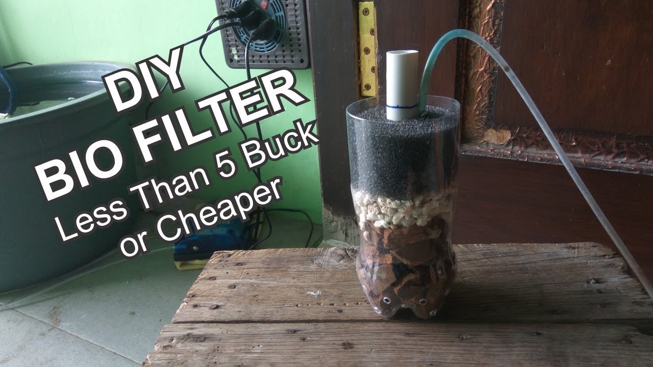 How To Make Bio Filter v1.0