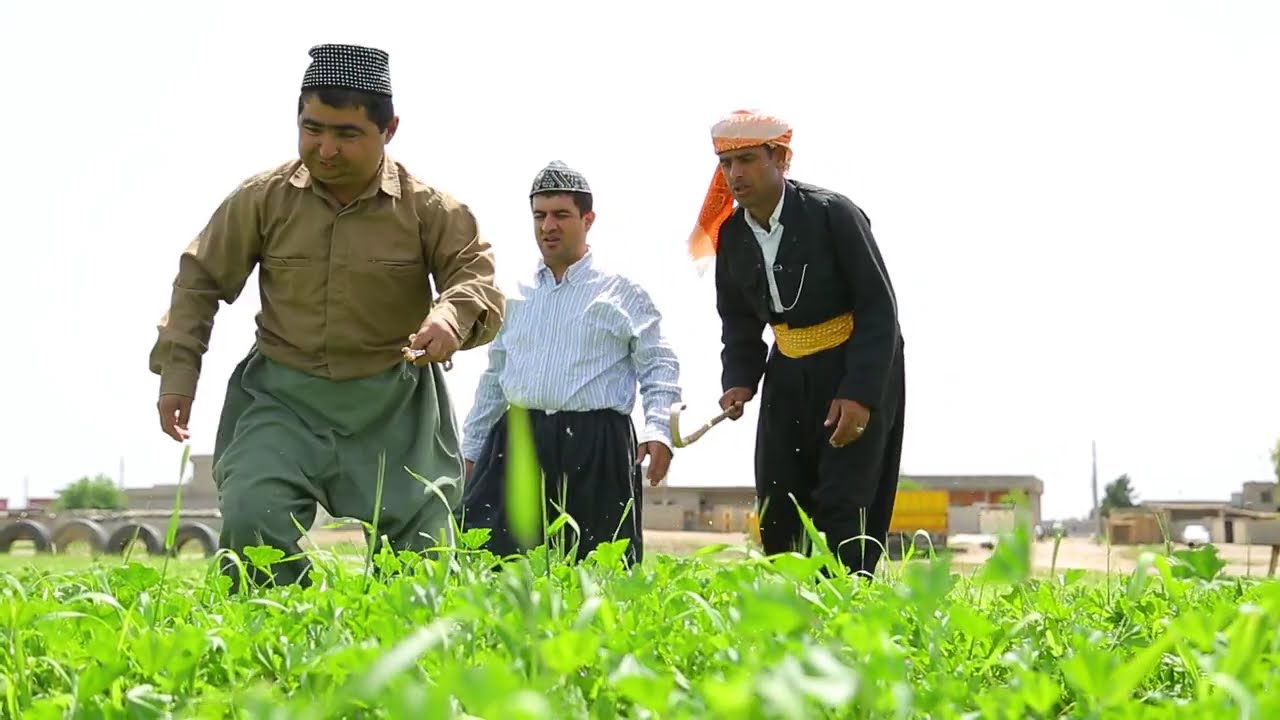 بەزمەکانی ژیان - 12