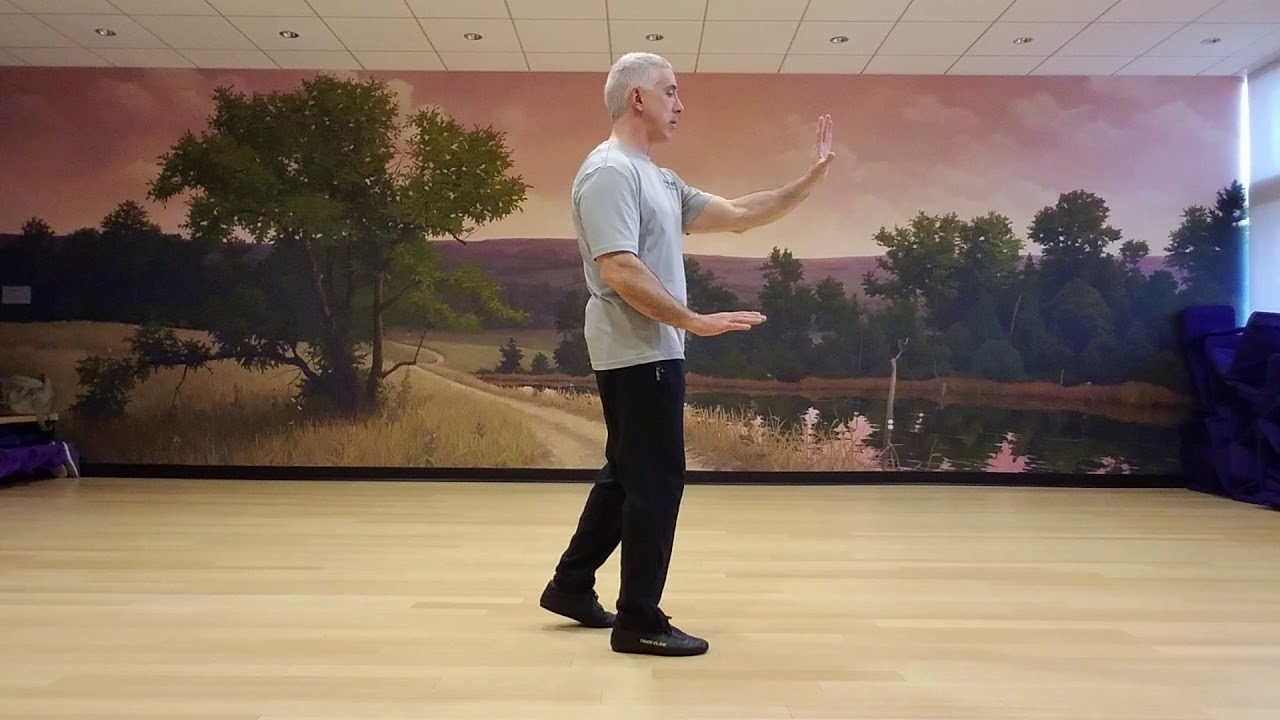Tai Chi Leisurely Tying Coat