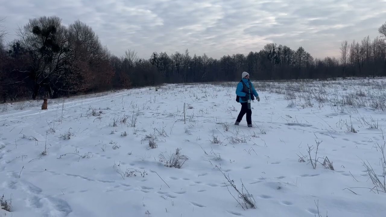 Kaysar Vom Fichtenhorst; beginners-2
